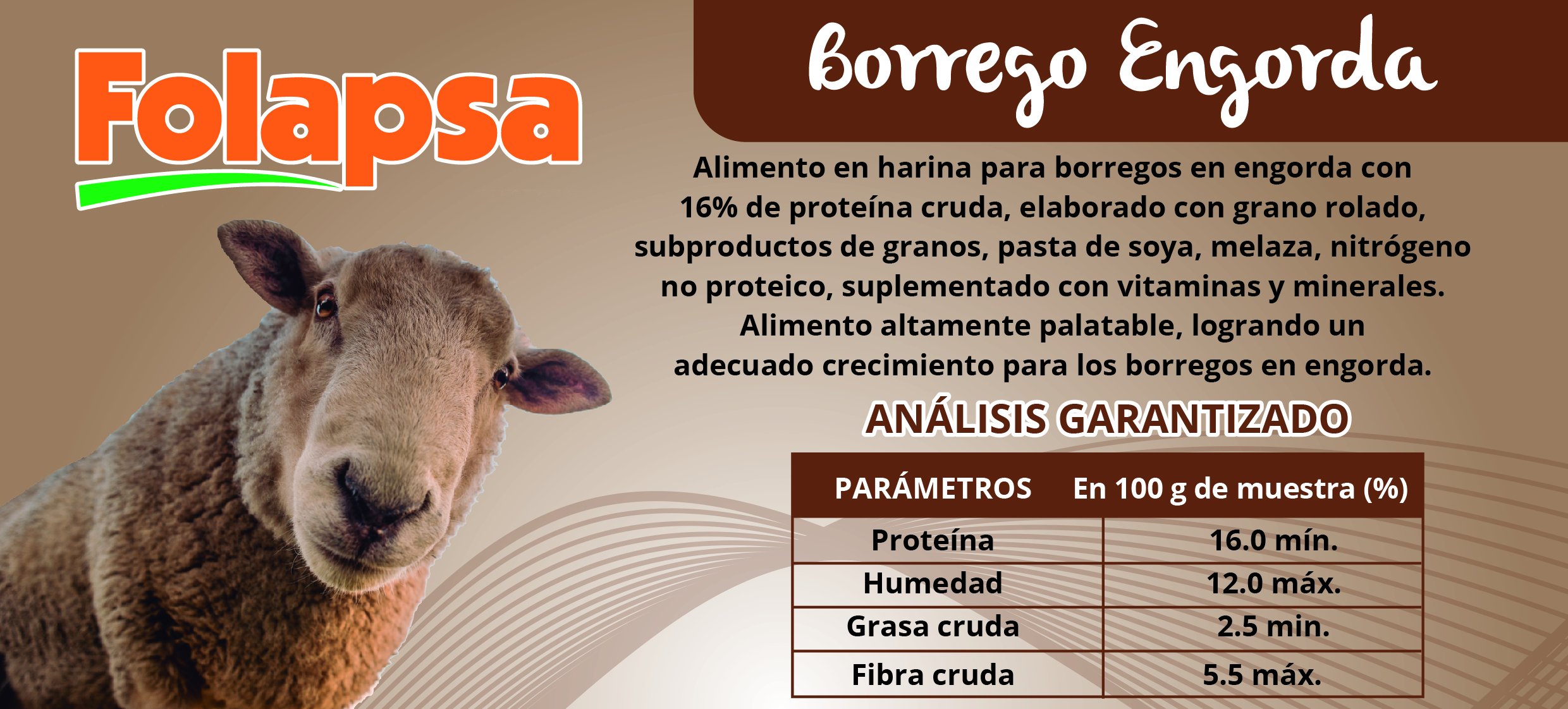 BORREGO ENGORDA-01 (1)